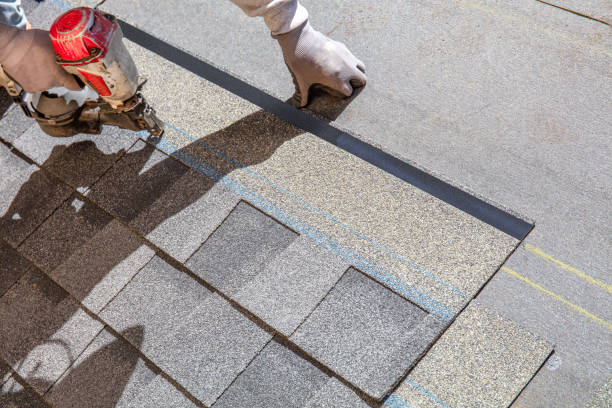 Professional Roofing Contractor in Shorewood, MN